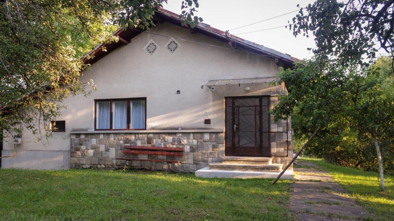 Casa Rurala Cu Livada Lavandra Câmpina Exterior photo